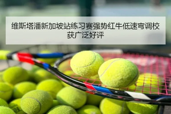 维斯塔潘新加坡站练习赛强势红牛低速弯调校获广泛好评